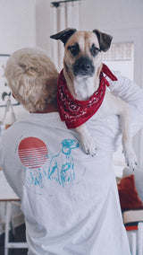 KOKOMO USA - The Labelle Foundation