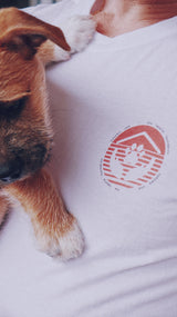 KOKOMO USA - The Labelle Foundation